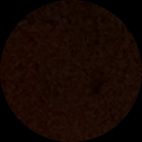 Meet your Posher, Polly - Picture 1 of 1